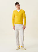 erkek v yaka kazak, triko, yün, sarı